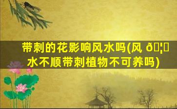 带刺的花影响风水吗(风 🦉 水不顺带刺植物不可养吗)